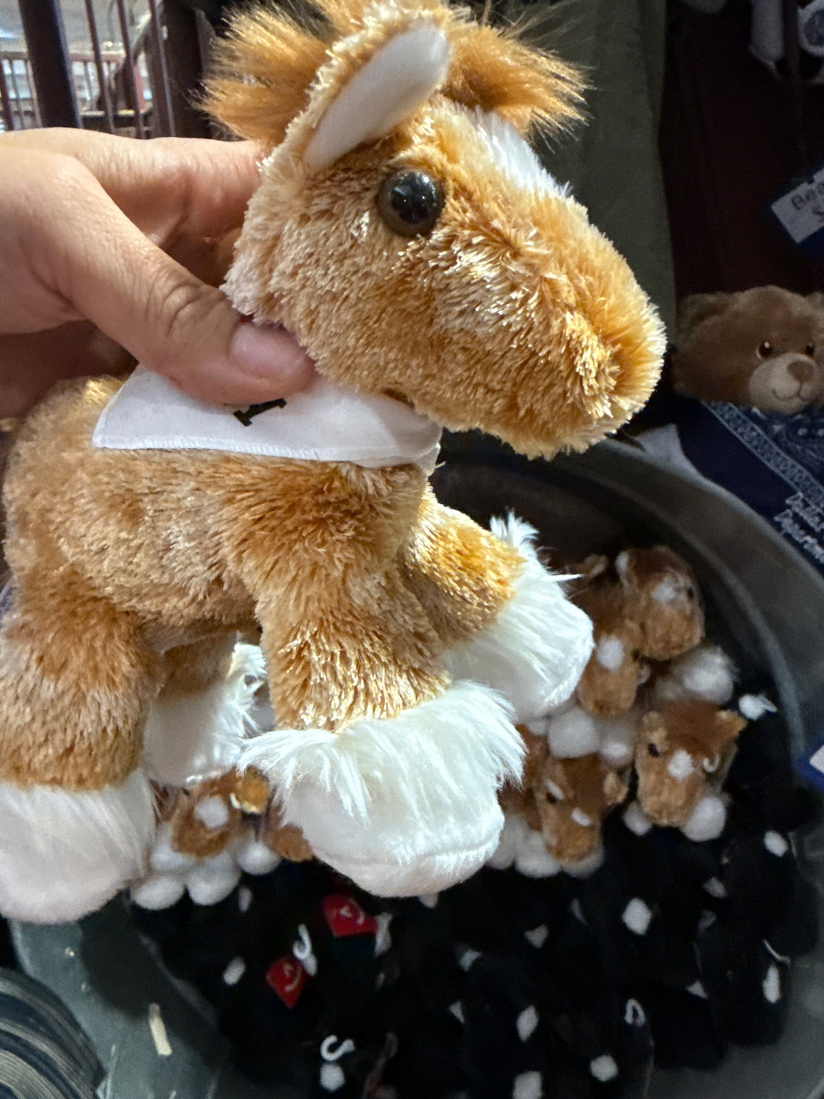 Horses